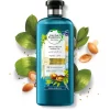 Argan-Oil-of-Morocco-Shampoo